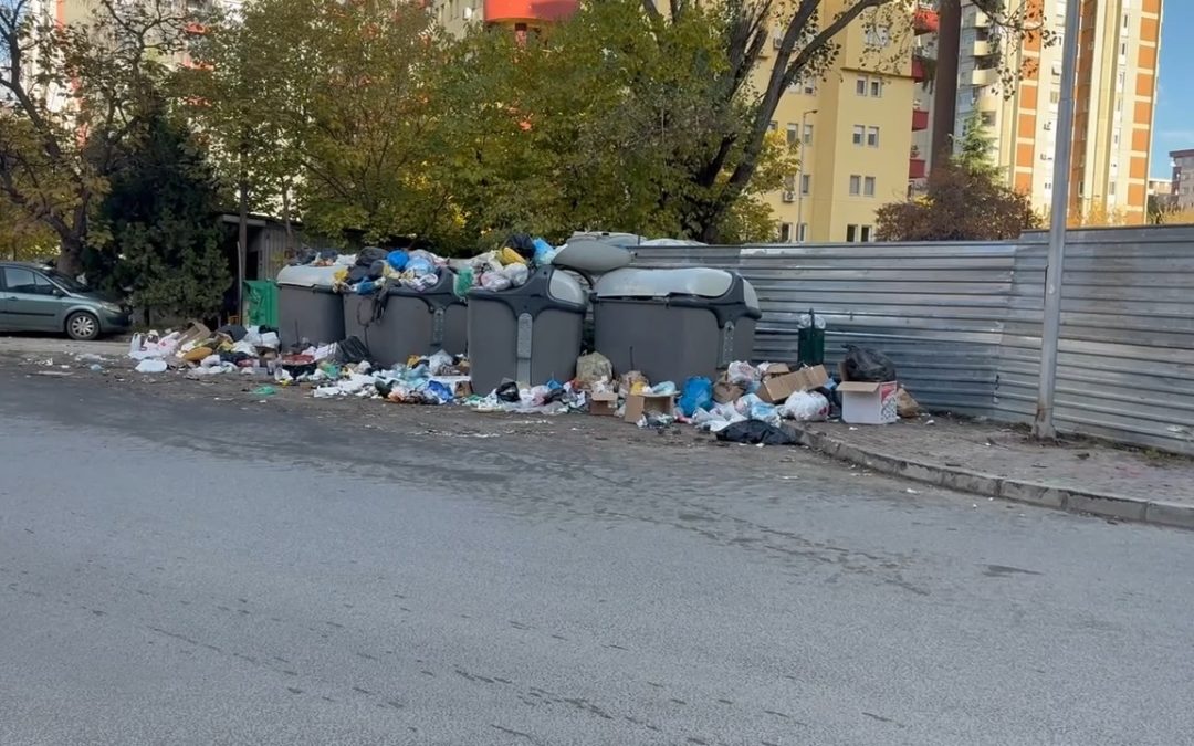 Рустеми и Саити се уште се во полициска станица Гази Баба