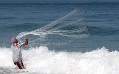 Рибниот фонд на Медитеранот и Црното море се опоравува