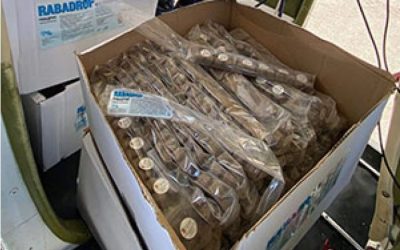 АХВ до крајот на декември ќе ја спроведе кампањата за вакцинација на лисиците и дивите карнивози против беснило