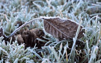 Најстудено утрово во Берово и Петровец