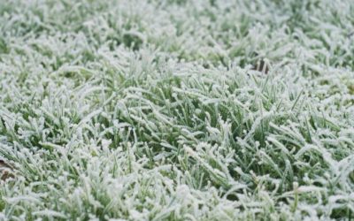 Утрово најстудено во Берово