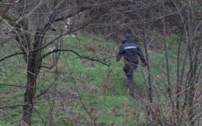 Пронајдено тело на жена која претходно била пријавена за исчезната во близина на Гостивар