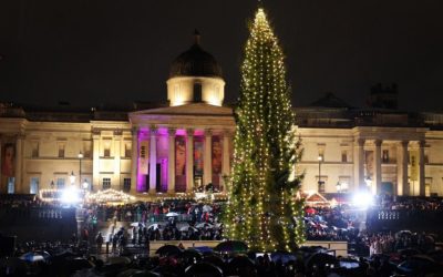 Лондонската божикна елка која традиционално ја поклонува Норвешка, вечерва ќе биде осветлена на Трафалгар