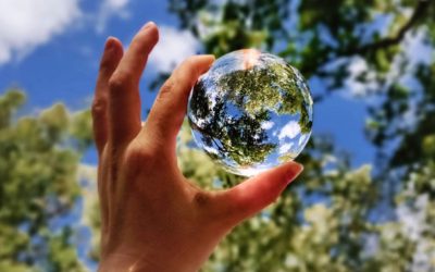 САД денеска и формално се повлекоа од Париската климатска спогодба