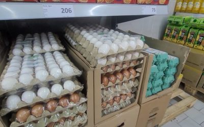 Поскап животот во февруари,синдикалната кошница 67 382 денари