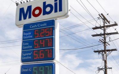 Цената на нафтата се стабилизира