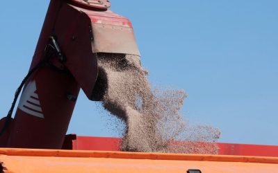 Војната во Иран ги зголеми светските цени на ѓубривата за 40 насто