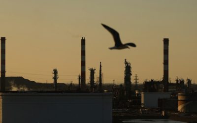 Меѓународната агенција за енергетика предвидува голем пад на побарувачката на нафта