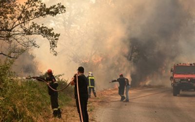 На Халкидики воведена забрана за сообраќај и пешачење во шумските подрачја поради опасност од пожари