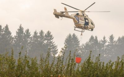 Големите пожари во Грција и Белгија ставени под контрола