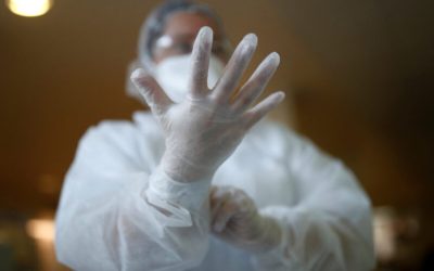 За првпат се регистрирани случаи на западно-нилска треска во Центар и Чаир – инфициран и мртов гавран