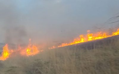 Активни три пожари на отворен простор, а 25 изгаснати во изминатото деноноќие