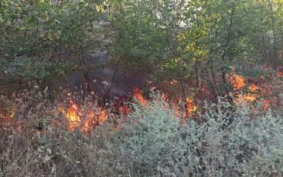 Активни пожари кај Македонски Брод и над селото Моране