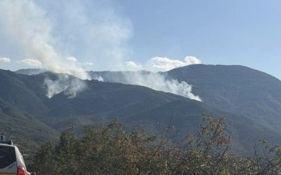 Во Македонија активни четири пожари