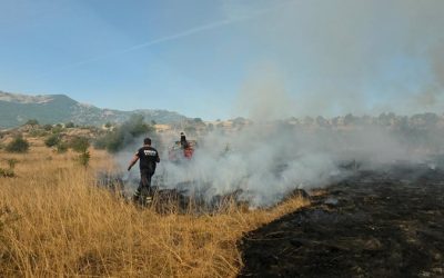 Во Македонија пет пожари активни, 31 се изгаснати