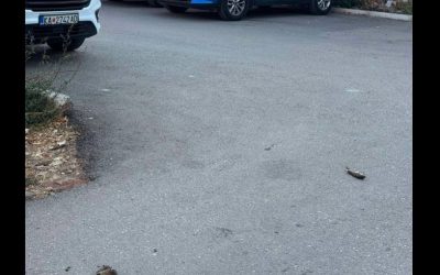 Во понеделник нова вонредна дератизација во Центар