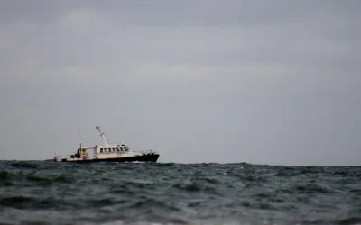 Два трговски брода нападнати во Црното море во близина на Бугарија, едниот потона